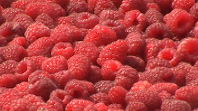 Maline - © Foto: Agromedia Maline - © Foto: Agromedia