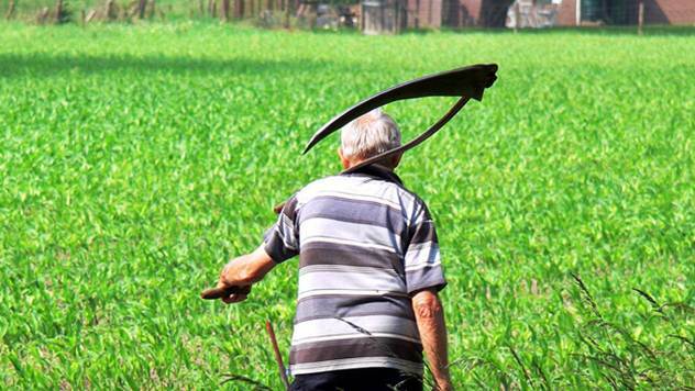 Poljoprivrednik na njivi - © Pixabay
