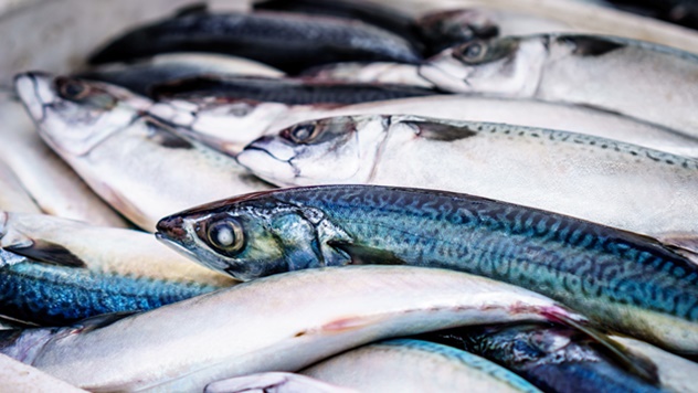 Kako odabrati svežu ribu? - © Pixabay