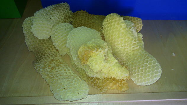 Saće © Foto: Mirjana Tadić