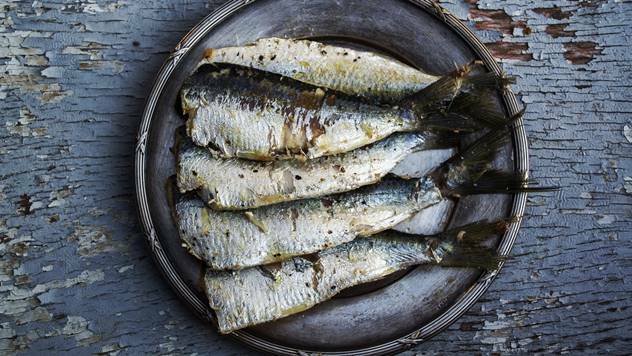 Spremljena sardina - © Pixabay