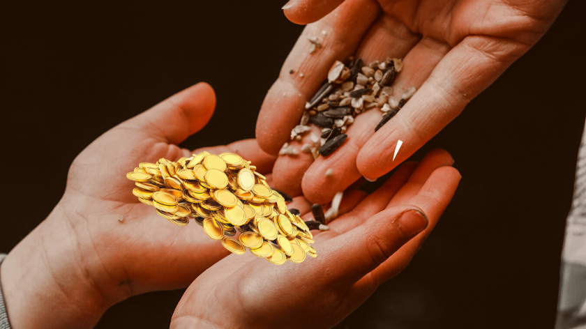 suncokret i novac u ruci