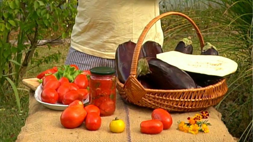 paradajz i patlidžan na stolu