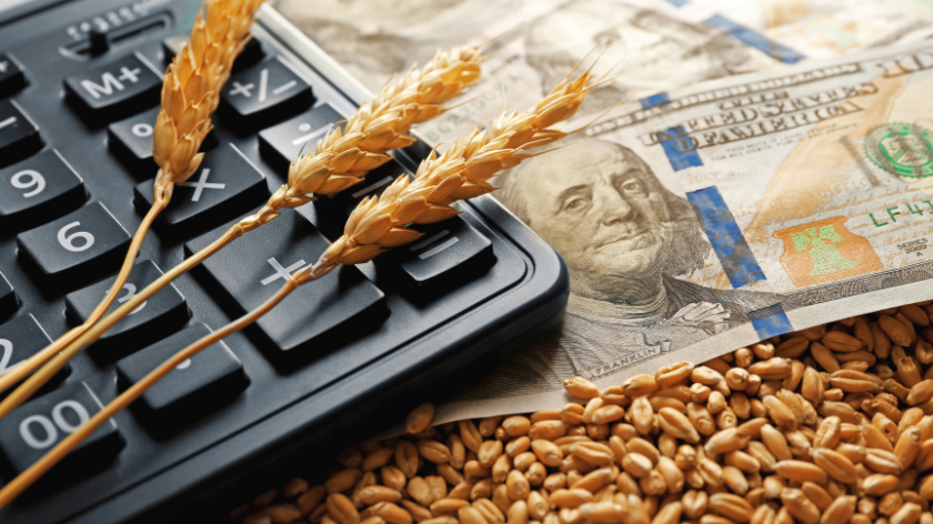 pšenica, američki dolar i digitron