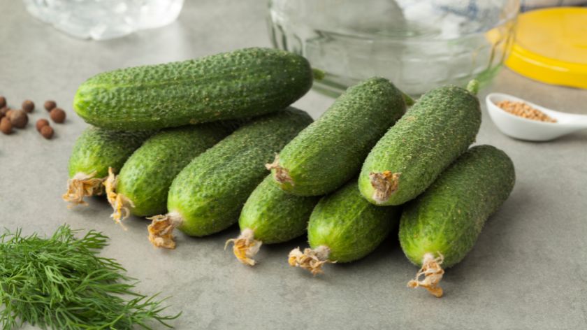 Kornišoni © Canva Kornišoni