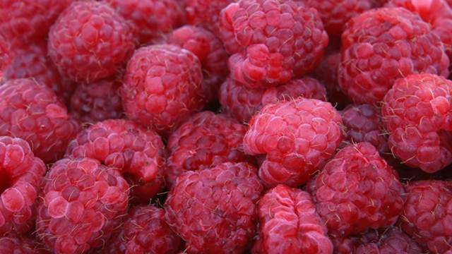 maline