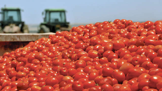 paradajz u traktoru