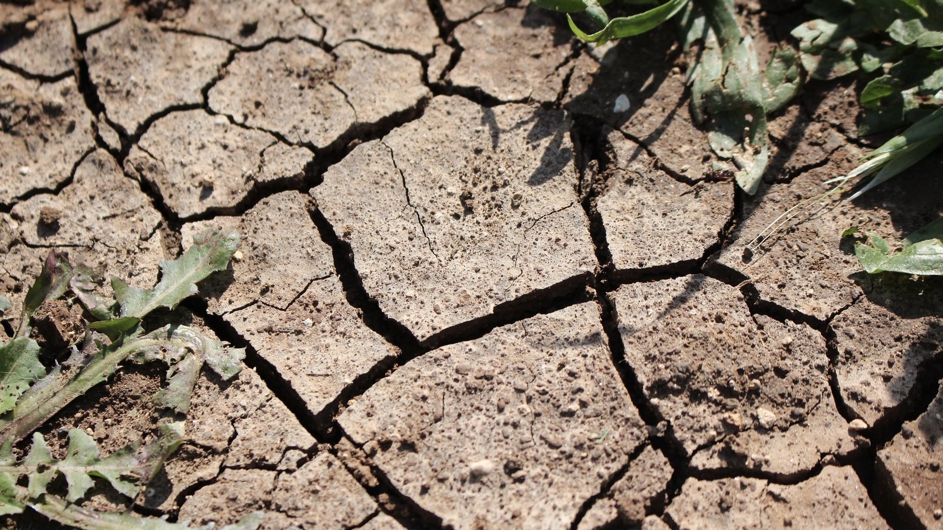 Degradacija zemljišta © Pixabay