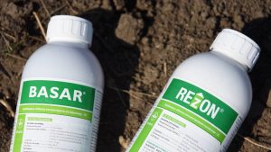 BASAR i REZON BASAR i REZON