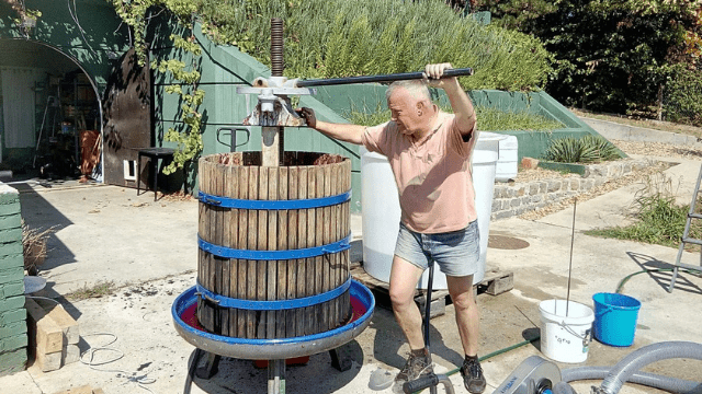 Proizvodnja vina