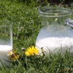 mleko u bokalu na travi