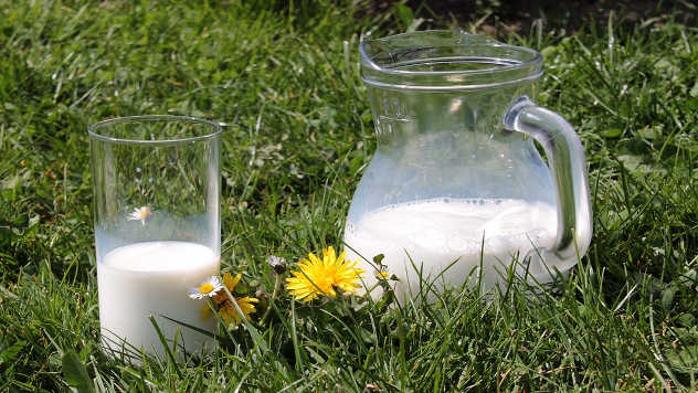 mleko u bokalu na travi