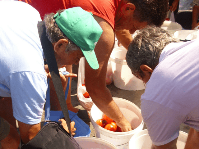 Protestni skup proizvođača paradajza © Tomislav Stevanović