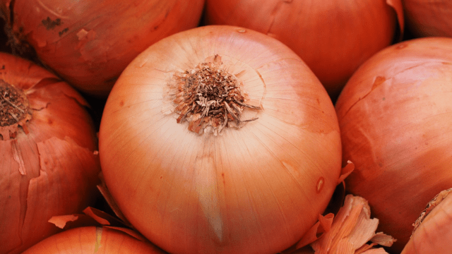 Crni luk ©Pivabay Crni luk