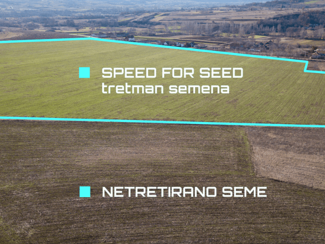 SPEED FOR SEED © Agromarket