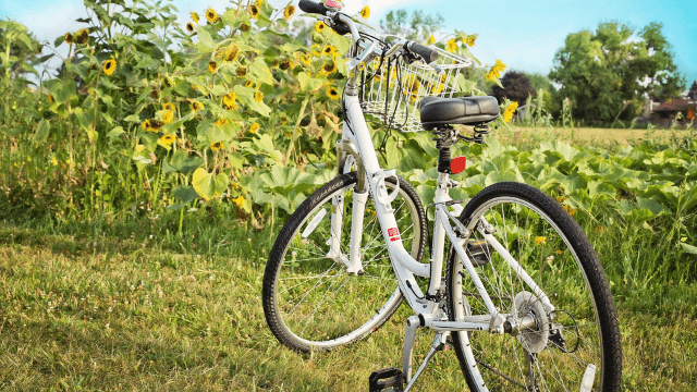 Bicikl