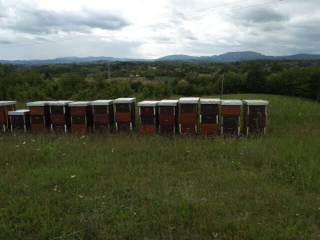 hives