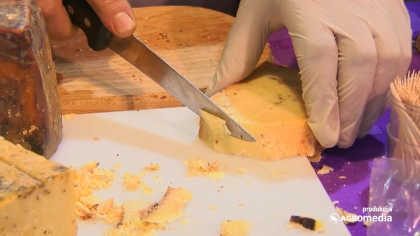 Carski sir sa dodatkom oraha © Agromedia