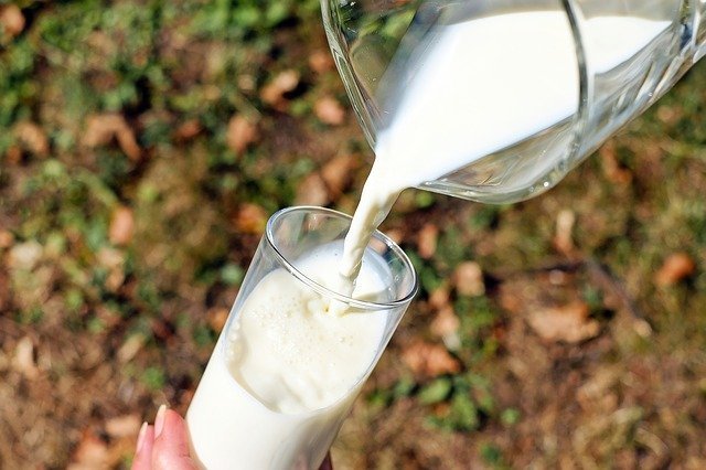 milk-production-in-the-EU