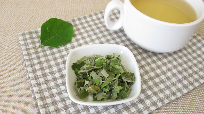 quince leaves in quince and quince leaf tea