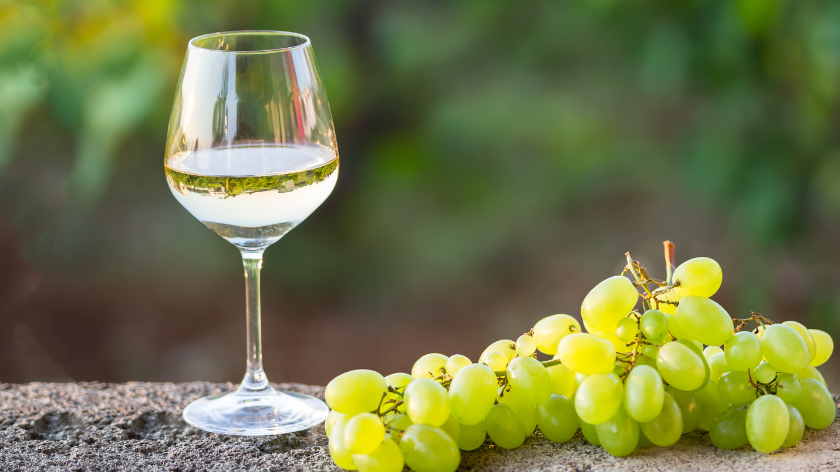 čaša belog vina i grožđe na zidu