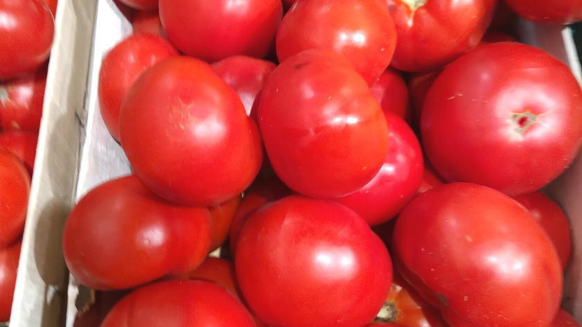 paradajz na gomili