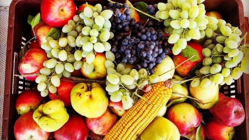 Direktna prodaja voća voće direktna prodaja