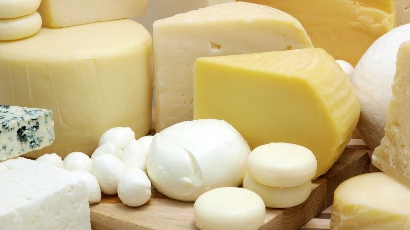 proizvodnja sireva