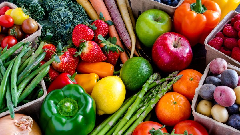 Organska proizvodnja voća i povrća