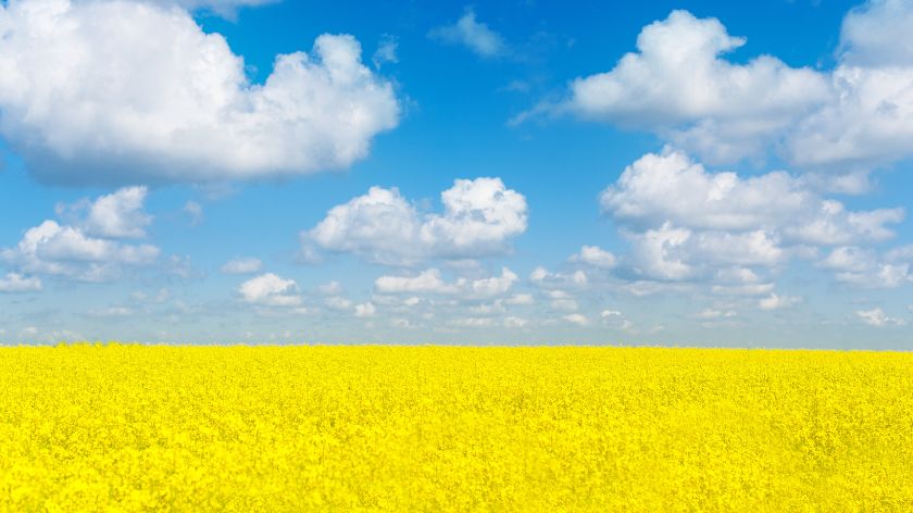 Ukrajina poljoprivreda 2023.