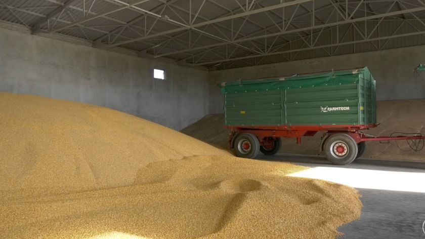 skladište kukuruza