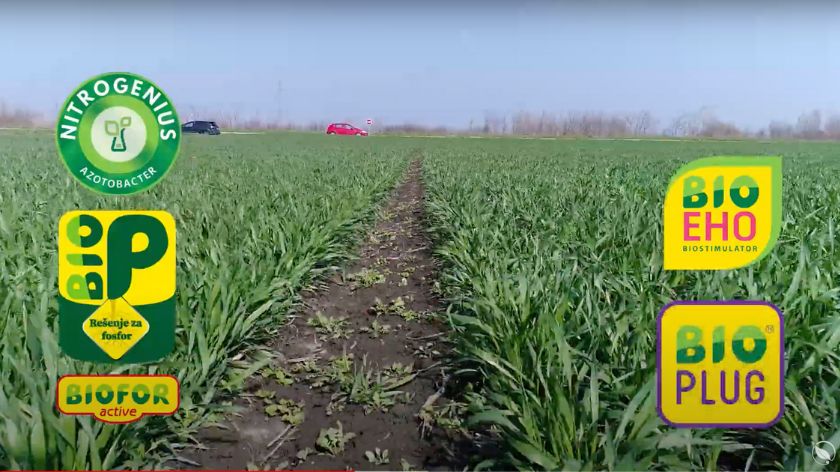 Prava paleta proizvoda za izuzetan prinos - DOKAZANO U PRAKSI © Screenshot AGROmedia biofor paleta proizvoda