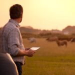 poslovni farmer na polju sa stokom © Canva