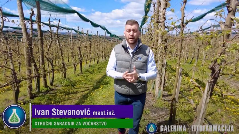 Galenika zaštita voća Ivan Stevanović