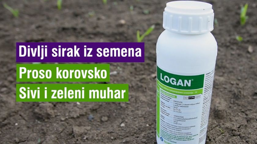 Logan ima veoma široko vreme primene © Youtube screenshot / AGROmedia