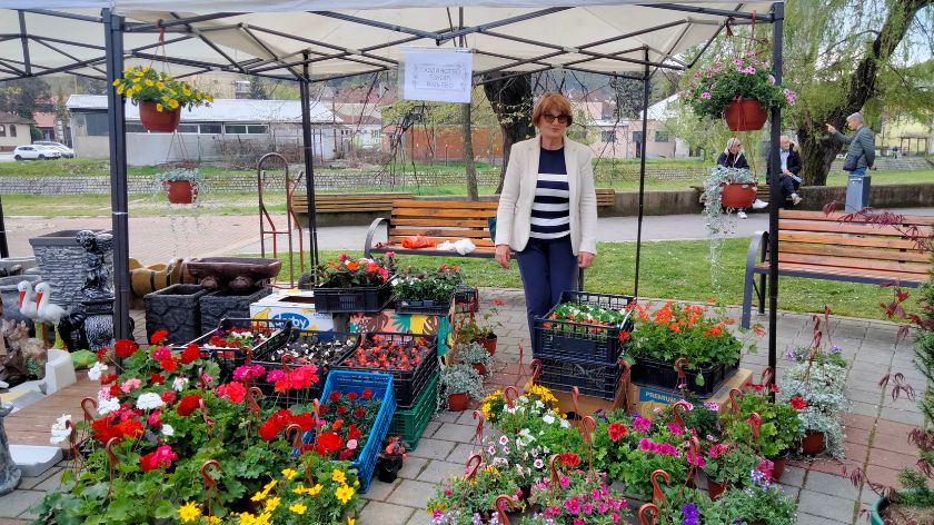 Teška borba za luksuzni proizvod kaže Slobodanka Đukić dok čeka da krene bolja prodaja © Dejan Davidović / AROmedia cvecarstvo u Srbiji Slobodanka Đukić
