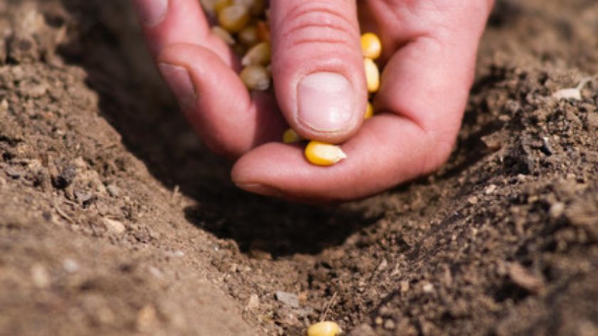 CHIEF® MAX paket © ADAMA