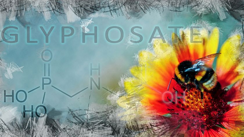 Glifosat