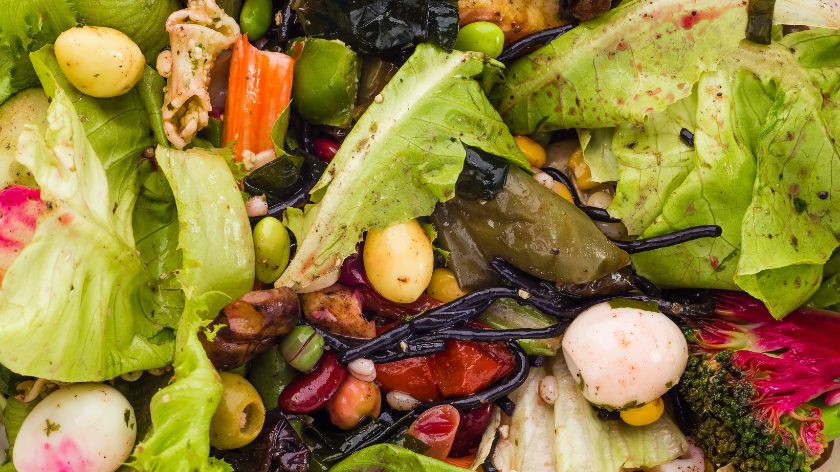 prehrambena industrija recikliranje hrane otpad