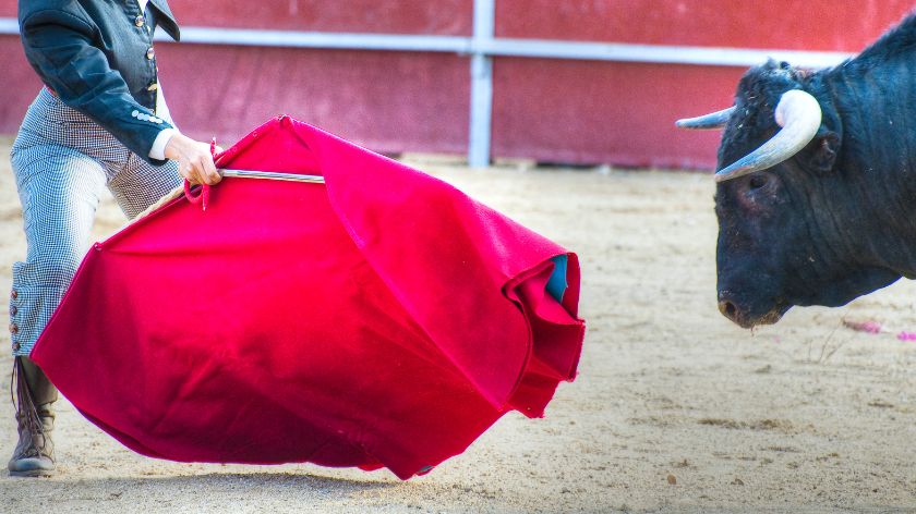 Iritacija crvenom bojom je zabluda © Canva