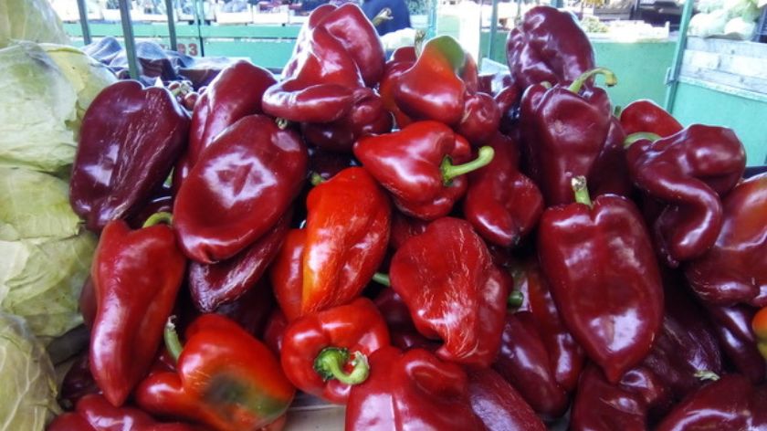 Praćenje pesticida je veoma važno © Dejan Davidović / AGROmedia