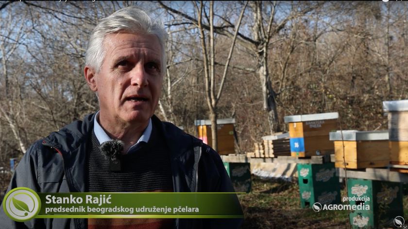 Iskustva pčelara u 2023: Bilo je grđih godina što bi rekli naši stari