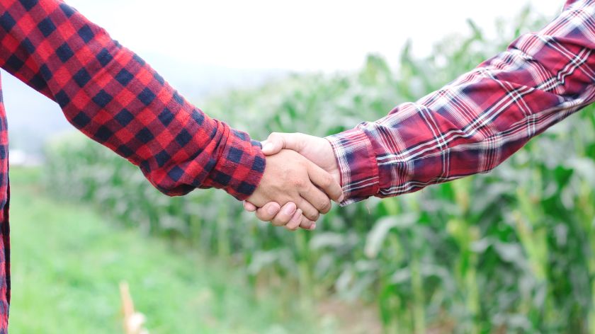 Šta možemo da naučimo od predaka o zadrugarstvu? © Canva Zadruga