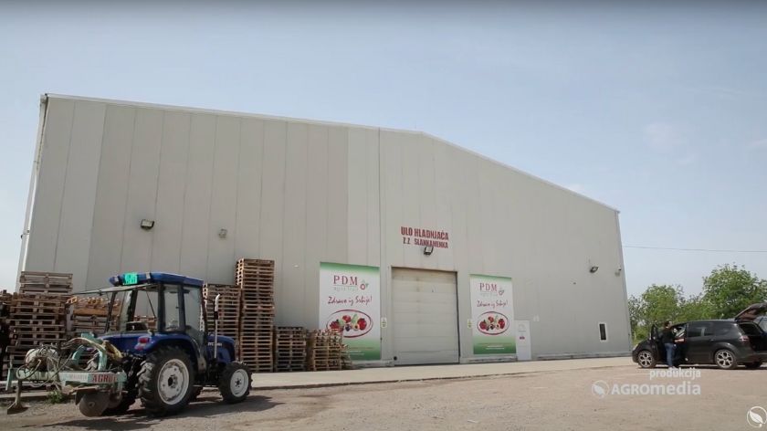 Slankamenka © AGROmedia Slankamenka ULO hladnjača