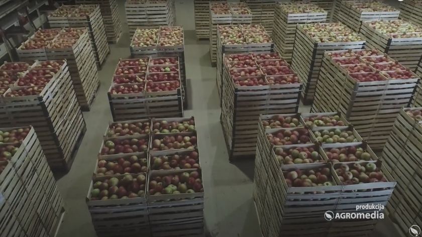 Što se tiče same proizvodnje, tehnologije i ostalog tu nema velikih problema za voćarstvo. © AGROmedia