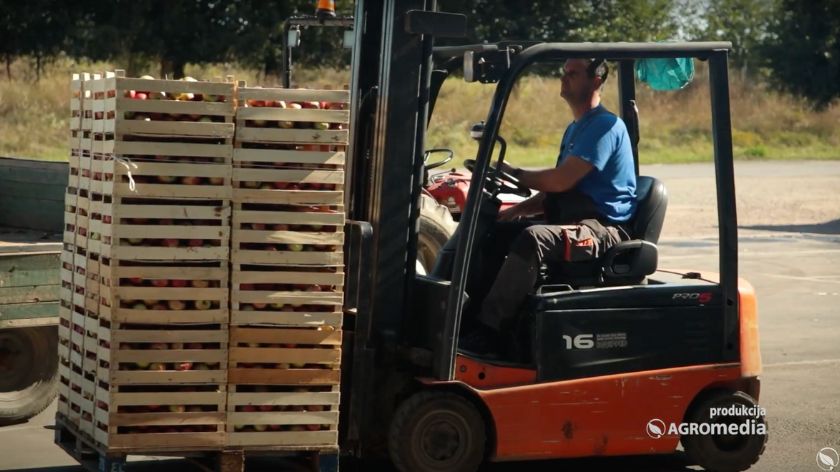 Voćarstvo: Porizvodnja jabuke je skup proizvod, proizvodnja nas je skupo koštala, a težak plasman. © AGROmedia jabuke