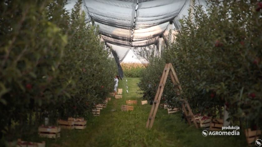 "Ono što vas hrani, ono što hrani porodicu, što volite - onda vam nije ni teško,” kaže Biljana. © AGROmedia