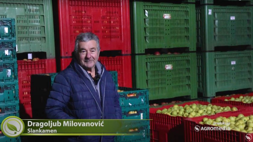 99% se bazirao na plasman svoje robe ovde domaćim kupcima. © AGROmedia Dragoljub Milovanović