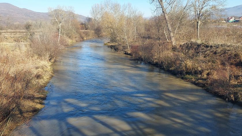 Morava © Marko Stanojević / AGROmedia