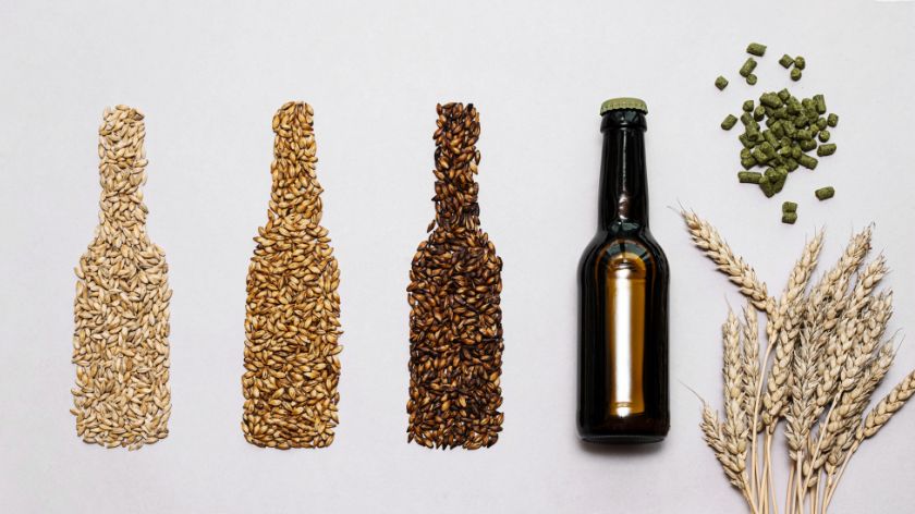 zrna žitarica kao pivske flaše